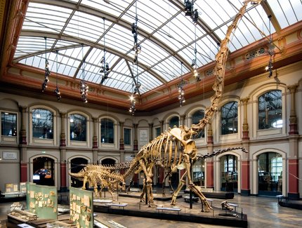 Museum für Naturkunde