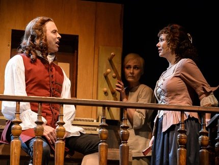 Bach. Das Leben eines Musikers