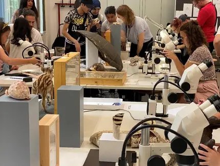 Mikroskopworkshop im Museum für Naturkunde Berlin