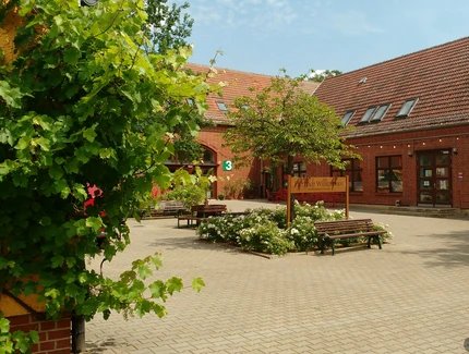 e_2387f7659daa0b9b32eb3b09f30faab5_img-hopop