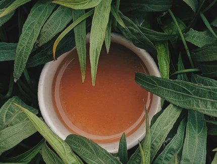 Fastenkurs in Berlin