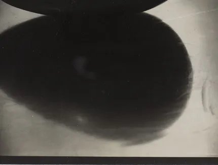 Edward Steichen, Le Commencement du monde (1920), 1920-1926, Foto: Centre Pompidou, MNAM-CCI/Guy Carrard/Dist. GrandPalaisRmn,