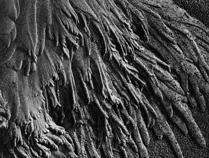 Alfred Ehrhardt, Spuren fließenden Wassers im Sandboden, Watt, 1933-1936, Silbergelatineabzug, © bpk / Alfred Ehrhardt Stiftungtineabzug