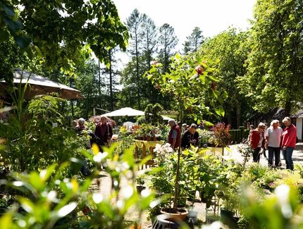 Gartenträume auf der Rennbahn Hoppegarten