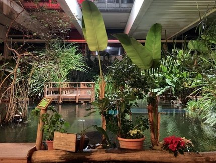 e_4f54ea4c44dc113fcc1a68989d6b0e52_img-hopop