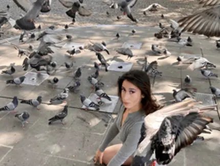 Selin Davasse: She-Pigeon | Spätschicht x C/O Berlin