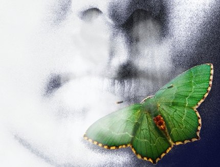 Das Schnauben der Hammel