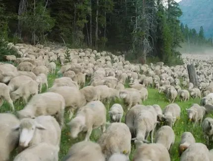 e_5dbf451ce0e85c7e12d3dff2b899c5de_img-hopop