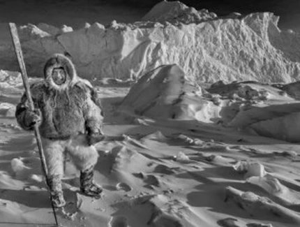 Sled Dog Greenland, 2007 (Detail)_Hunter Mads Ole, Thule, Greenland, 2019
