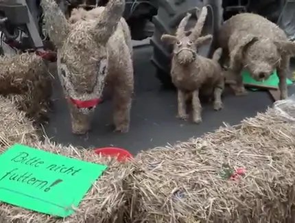 Primavera / Spargelfest