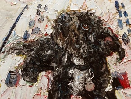 e_6c11b9e9733b0d507828aebb2205019d_img-hopop