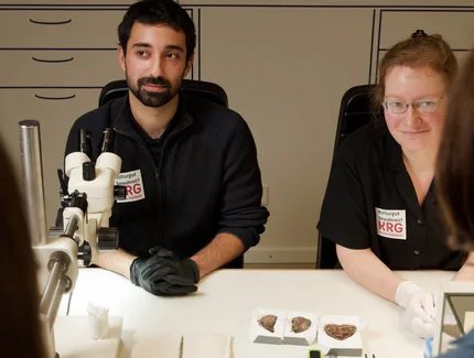 Live-Restaurierung am PETRI Berlin