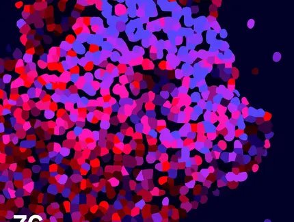 Das Festivalplakat der 76. Berlinale Key Visual 2026