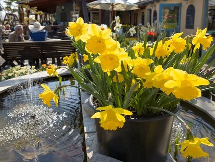 Kräutertage und Gartensaisonstart bei Späth