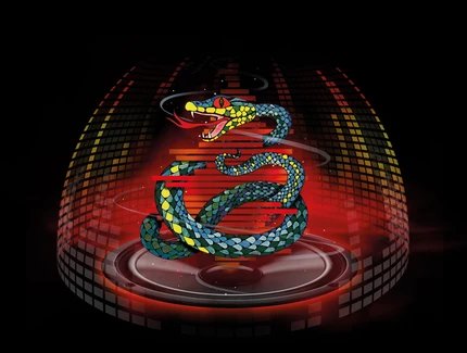 Die drei ??? und die singende Schlange