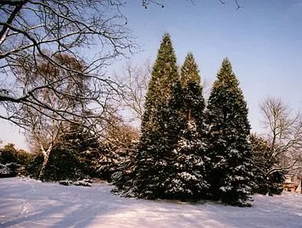 Humboldthain in Berlin