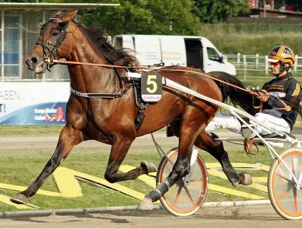Der Österreicher Thomas Royer beim Fritz-Brandt-Rennen