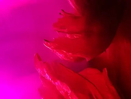 Grafik Header Spielzeit 25/26