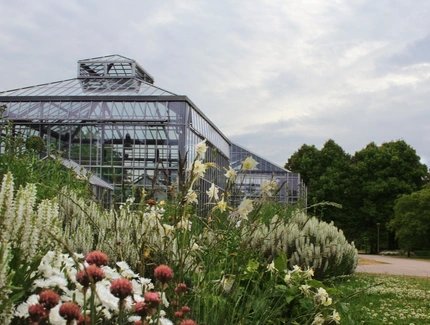 Botanischer Volkspark Pankow