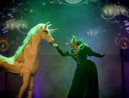 Frack & Spitzenhöschen