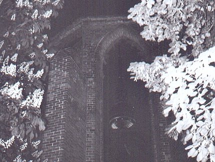 Bärentouren - Historische Alchemisten in Berlin