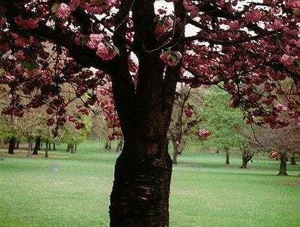 Walpurgisnacht in Berlin