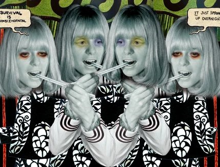 Roses Rising – The Dinner