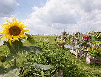 Garten auf dem Tempelhofer Feld