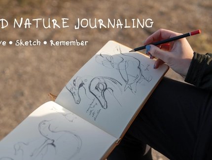 Naturtagebuch für Vogelbeobachter