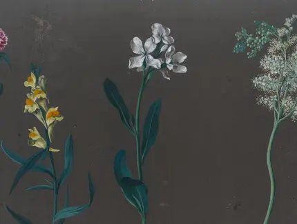 “Das alles bin ich!” Christoph Müller’s Gift, Part 4