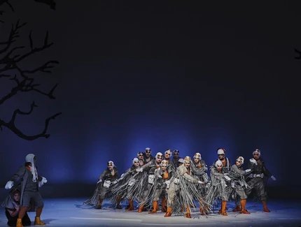 Nils Holgerssons wundersame Abenteuer