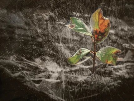 Ich bin da, trotzdem - hörst Du?