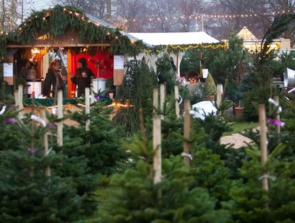 Advent in den Späth'schen Baumschulen