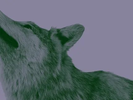 VISUAL „Natur und deutsche Geschichte“