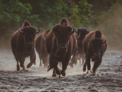 e_e5033647cf100bbbf7d014b73c951366_img-hopop