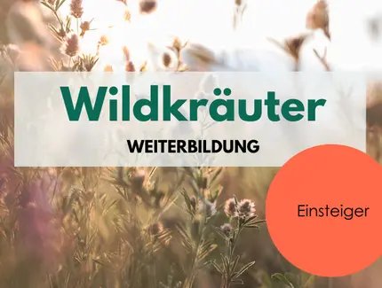 Wildkräuter Weiterbildung