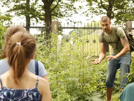 e_f1618ba5ef7d69c3ed981b008b975e2b_img-hopop