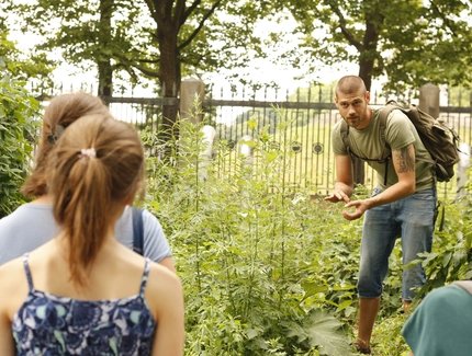 Wildkräuterwanderungen in Berlin