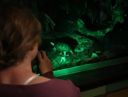 Dschungel-Abende im Tierpark Berlin