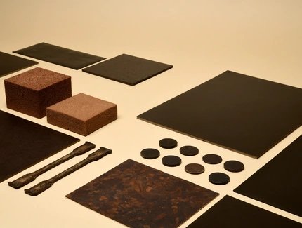 Lignin Futures