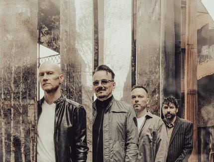 The Pineapple Thief
