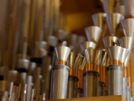 Detail-Ansicht der Orgel in der Nikolaikirche