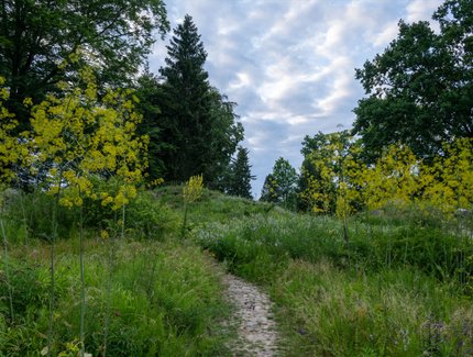Botanischer Garten