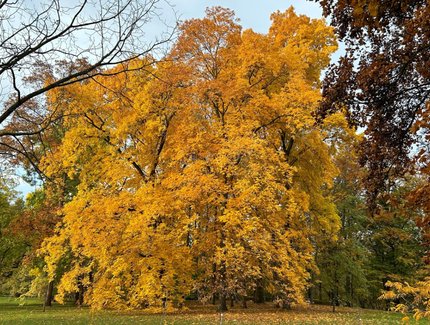 Botanischer Garten