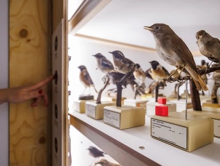 Detail der ZUGvögel Ausstellung