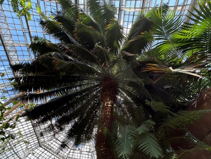 Botanischer Garten