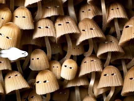 Strangers with Hats by Petra Stipetić and Karolin Twiddy 
