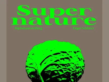 SUPERNATURE - Super nature 