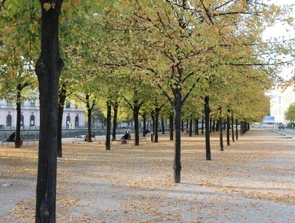 Unter den Linden
