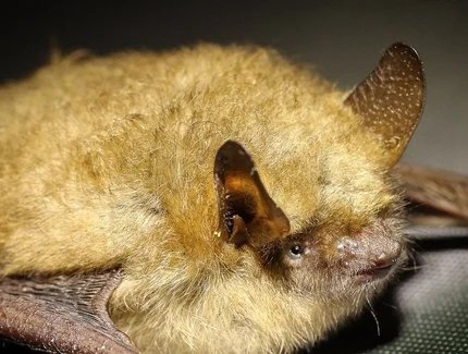 genid-66bd5bdb641047d8ad0a83edd26b83f522037004-b9